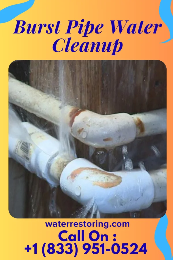 Burst Pipe Water Cleanup in St. Peter, WI
