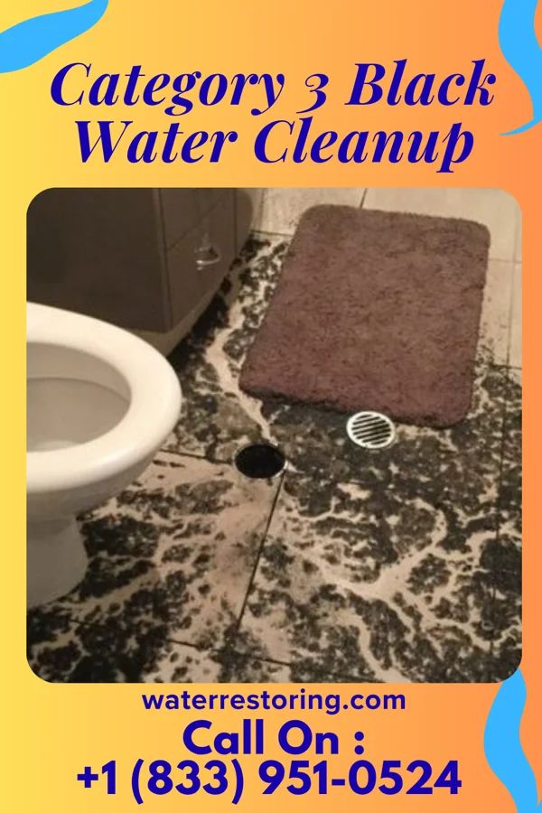 Category 3 Black Water Cleanup in St. Peter, WI