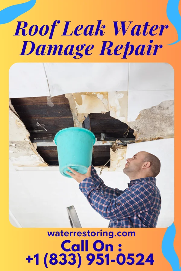 Roof Leak Water Damage Repair in St. Peter, WI
