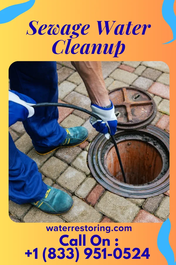 Sewage Water Cleanup in St. Peter, WI